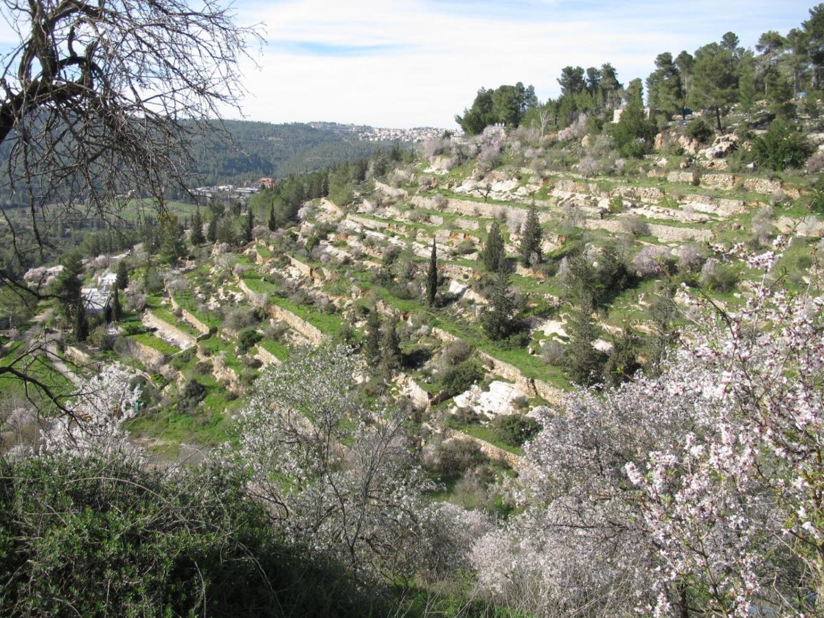 Khan Ein Karem Boutique Hotel Jerusalem Exterior photo