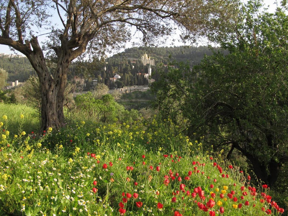 Khan Ein Karem Boutique Hotel Jerusalem Exterior photo